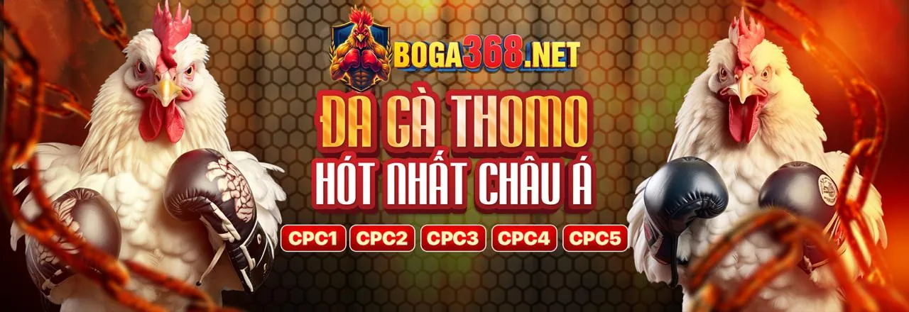 Sân đấu đá gà kịch tính tại Mi88