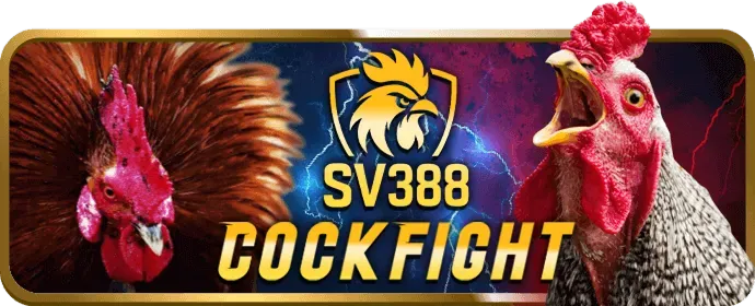 Quy tắc cá cược và chơi game mi88